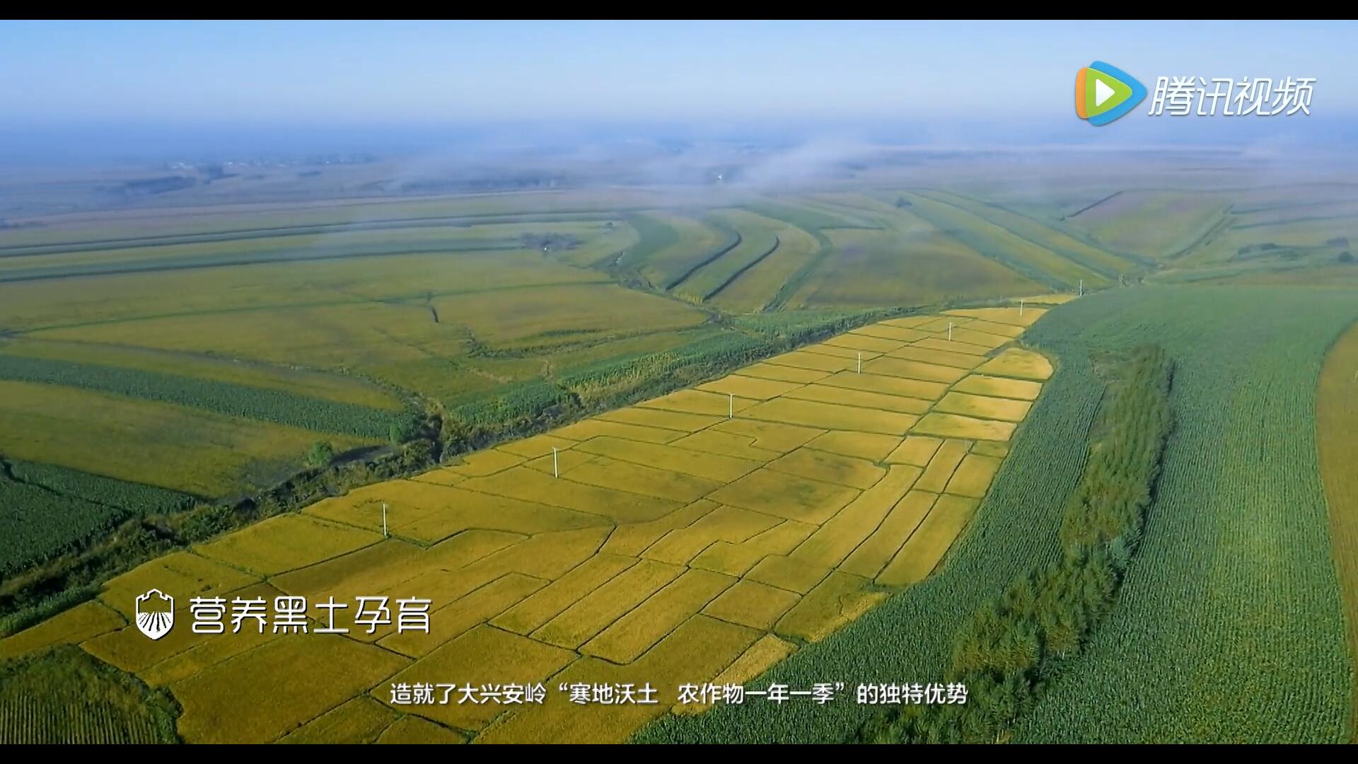 恒大興安 大型專題片