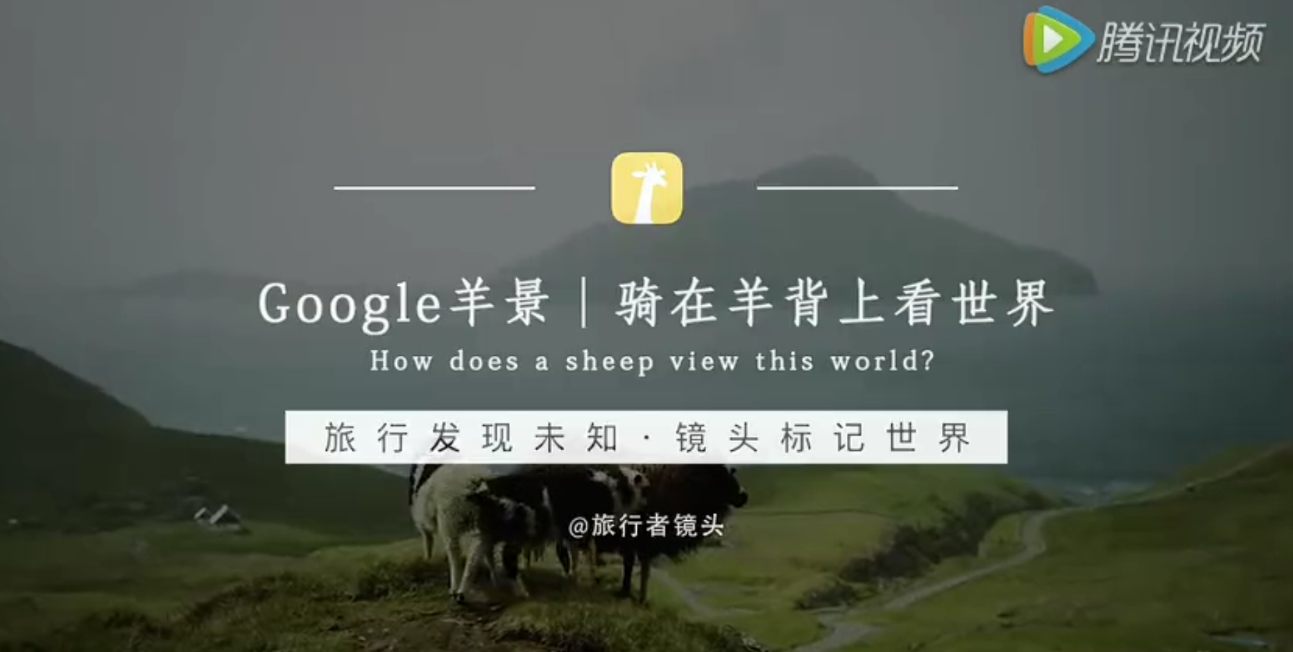 騎在羊背上看世界 Google 谷歌