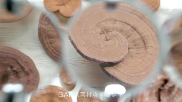 余仁生中醫(yī)藥保健品 《靈芝篇》