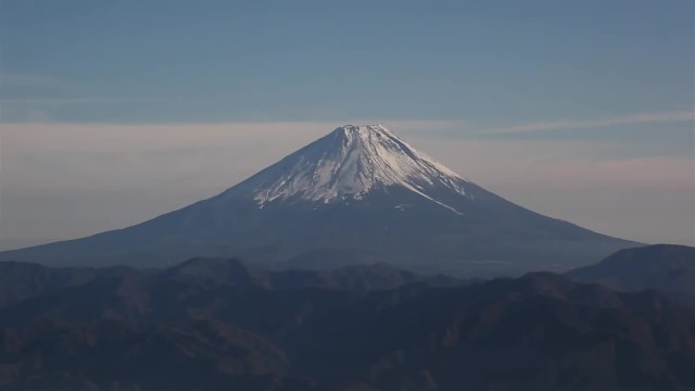 Koshu甲州印伝 《錢夾篇》