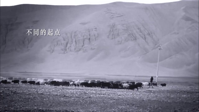 六和液白酒 《旅程篇》