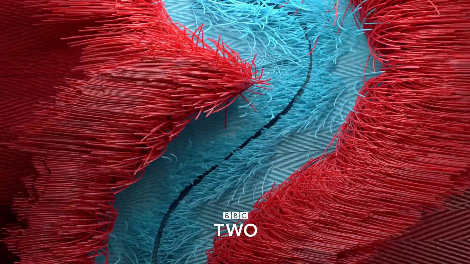 BBC2電視臺(tái)臺(tái)標(biāo) 《BBC Two》