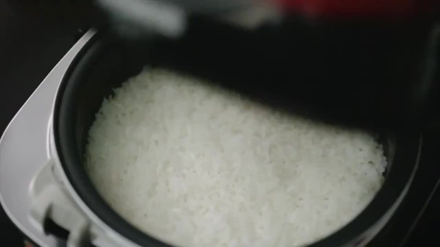 Panasonic 松下電飯鍋 《米飯篇》