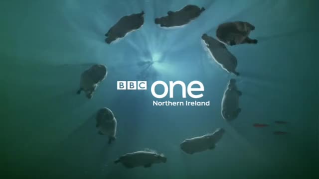 BBC Hippo Ident