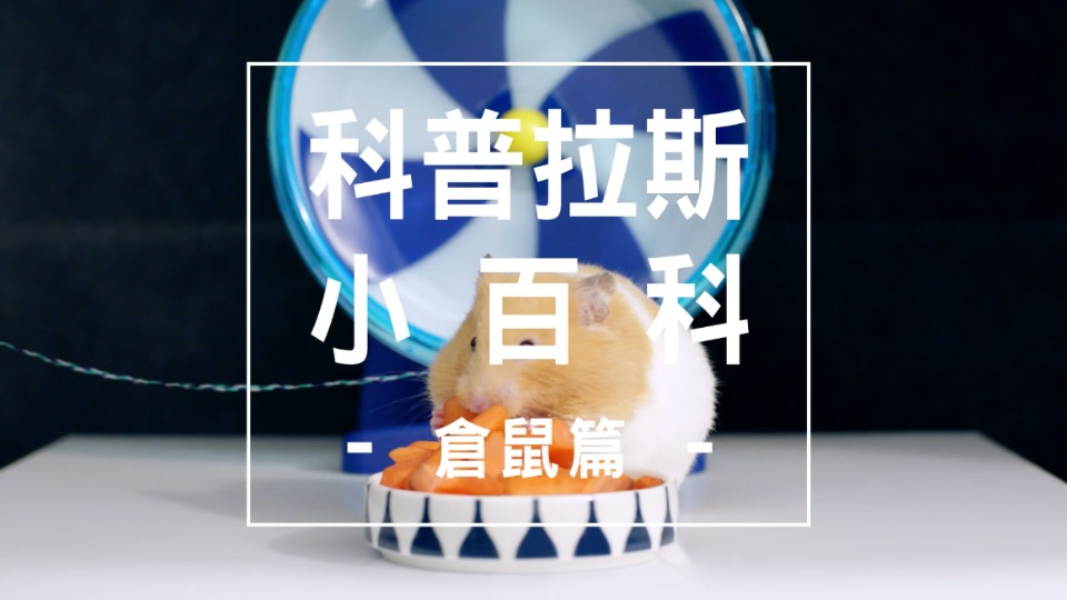 MITSUBISHI COLTPLUS 科普拉斯小百科 [ Hamster ] Dir