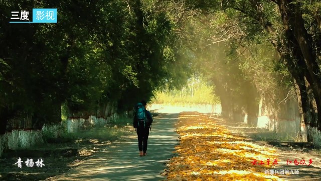 兵團(tuán)九師 -《云上草原 紅色故鄉(xiāng)篇》