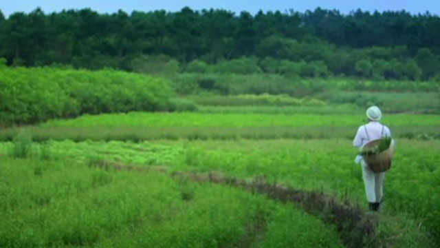 南山農場 《守望者篇》